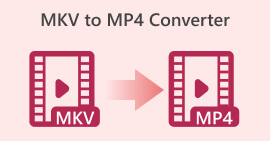 MKV से MP4 कन्वर्टर्स