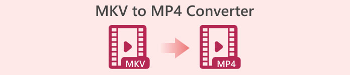 Convertidors de MKV a MP4