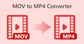 โปรแกรมแปลง MOV เป็น MP4
