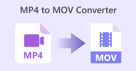 MP4 to MOV Converter