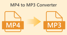 MP4 到 MP3 轉換器