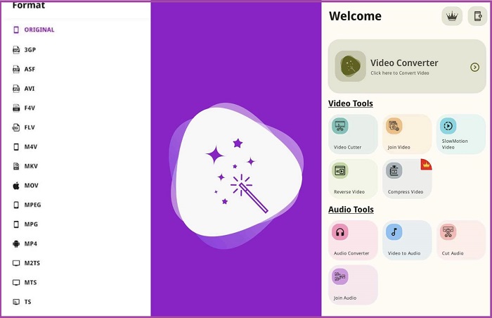 Convertisseur vidéo Vidsoftlab