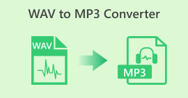 WAV naar MP3-converters