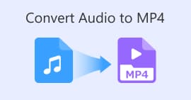 オーディオを MP4 に変換