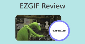 Revisión de Ezgif