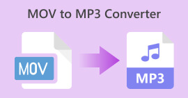 MOV til MP3 konverter