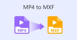 MP4 a MXF