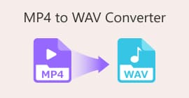 MP4 لتحويل WAV