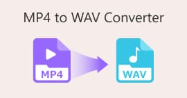 โปรแกรมแปลง MP4 เป็น WAV