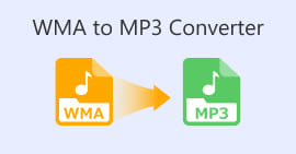 WMA से MP3 कन्वर्टर्स