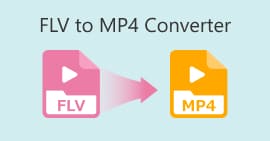 FLV to MP4 Converter