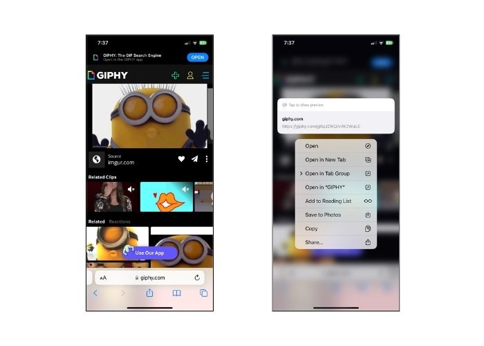 Save GIFs Giphy