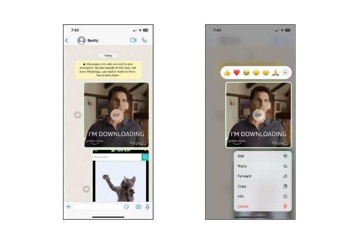 Save GIFs WhatsApp