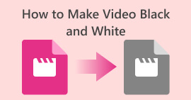 Make Video Black and White