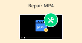 Hoe MP4 te repareren