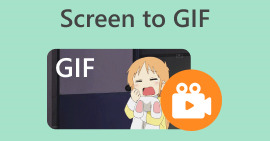 الشاشة إلى GIF