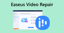 Reparació de vídeo EaseUS