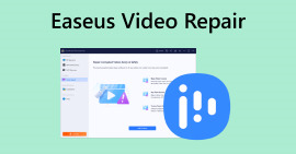 EaseUS videoreparation