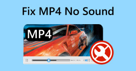 Διόρθωση MP4 No Sound