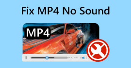 Correction du MP4 sans son