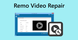 Remo Video Repair