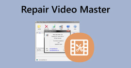 Reparer Video Master