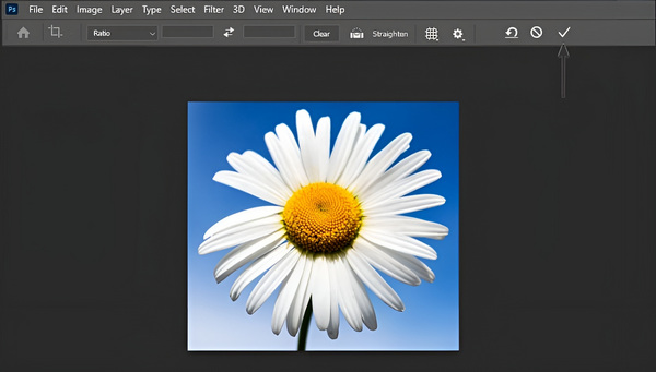 Photoshop Crop File Salvare