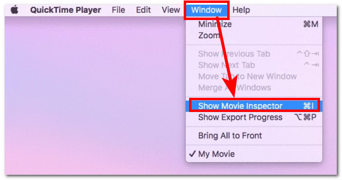 Click Window Movie Inspector
