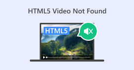 Vidéo HTML5 introuvable