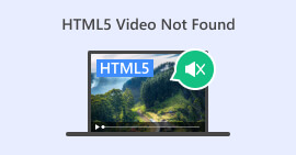 HTML5 Video Not Found