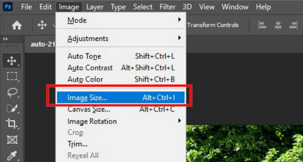 Photoshop Image Tab