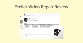 Examen de la réparation vidéo Stellar