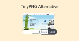 Alternative à TinyPNG