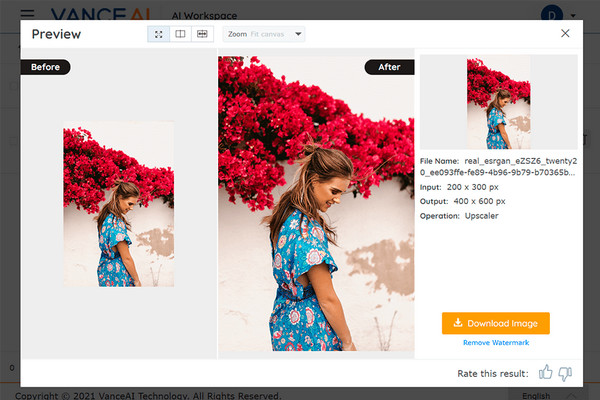 Vance AI Photo Enhancer Upscaler Feature Photo