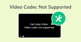 El còdec de vídeo no és compatible