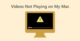 Video's worden niet afgespeeld op mijn Mac