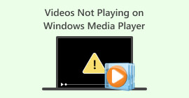 Windows Media Player에서 비디오가 재생되지 않음