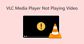 VLC Media Player не воспроизводит видео