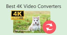 Best 4K Video Converters