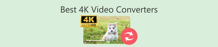 Best 4K Video Converters