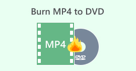 Burn MP4 to DVD