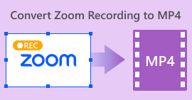 Convert Zoom Recording to MP4