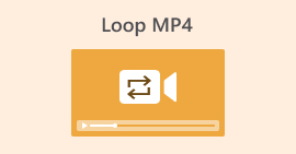 Loop MP4