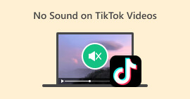 Ingen lyd på Tiktok-videoer