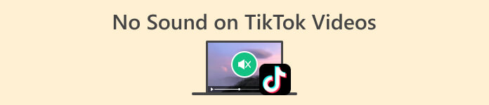 TikTok Videolarında Ses Yok