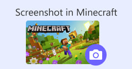 Screenshot on MInecraft