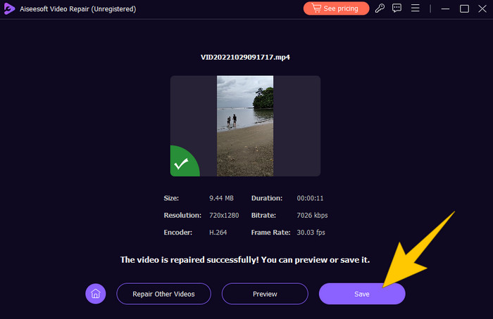 Fix Corrupted Video Preview Save