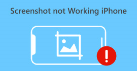 Screenshot Not Working iPhone
