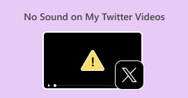 Twitter Videos Have No Sound
