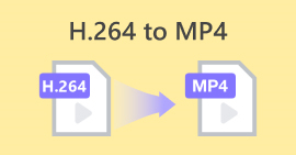 H264 から MP4